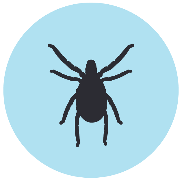 Silhouette illustration of a tick.
