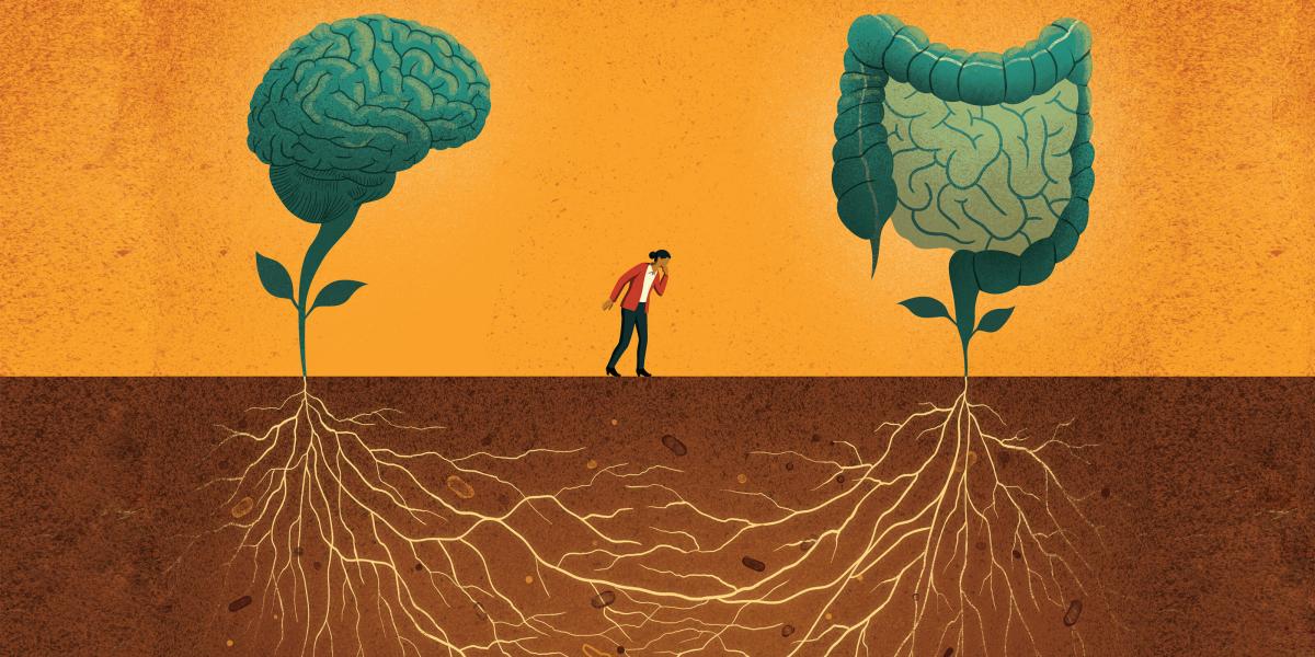 an illustration of a brain and intestines as plants growing above ground with roots connecting underground