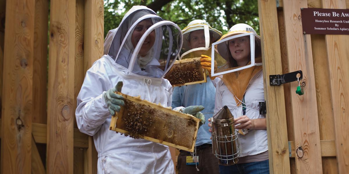 Sarah Khasawinah, Katherine Reiter in beekeeping gear, holding honeycombs