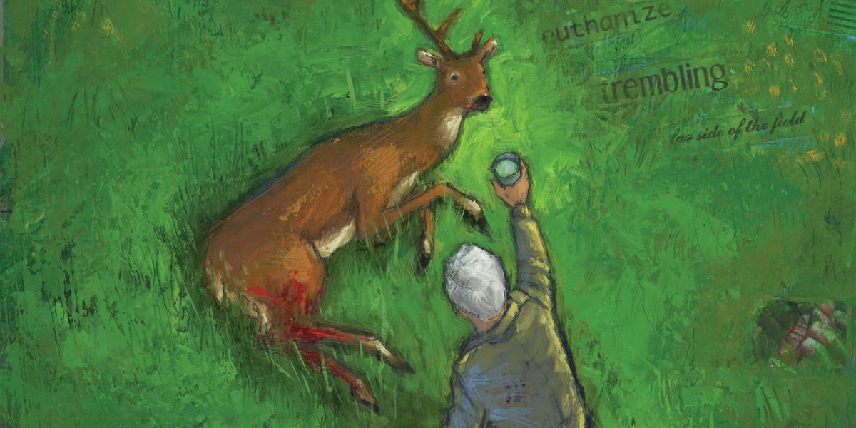 A wounded deer with one antler lays in a field as a person offers it water.