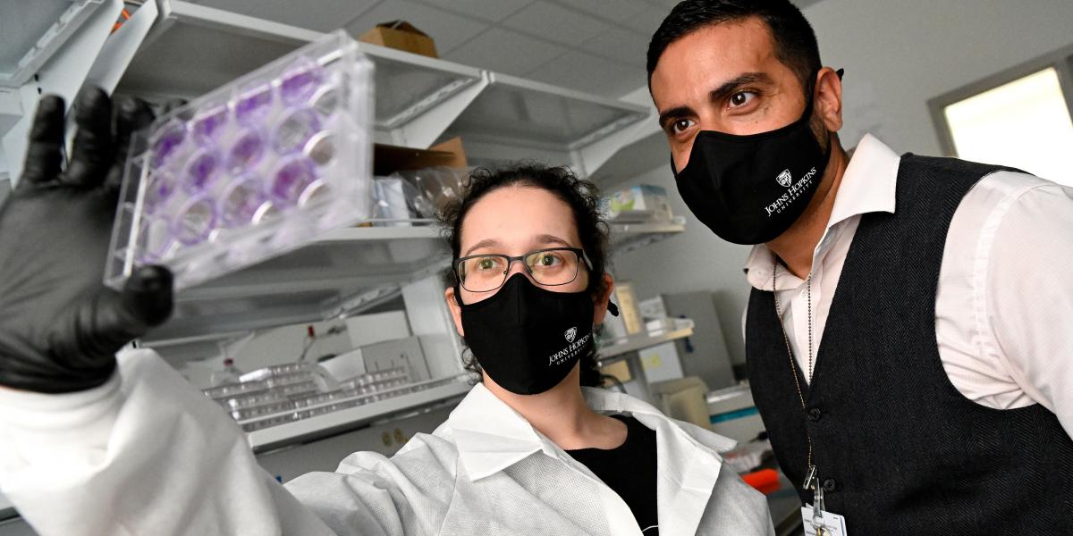 Vito Rebecca and ScM student Marie Portuallo in Rebecca's laboratory
