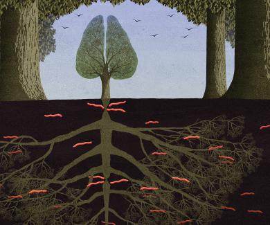 illustration of a tree in a forest; the tree is split in half so that it resembles lungs