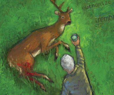 A wounded deer with one antler lays in a field as a person offers it water.