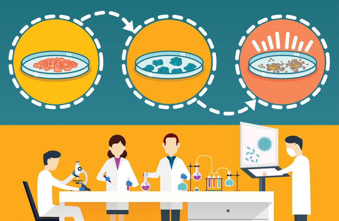 An illustration of scientists working with cell samples.