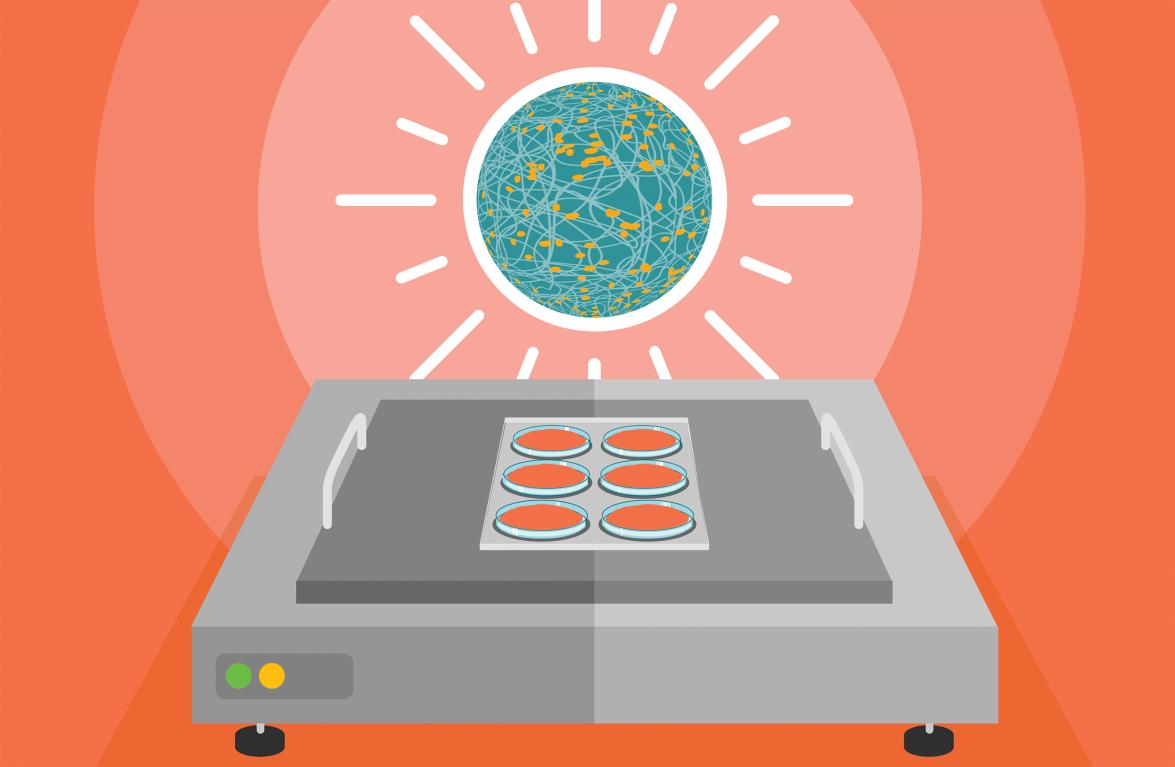 An illustration of petri dishes in a lab.